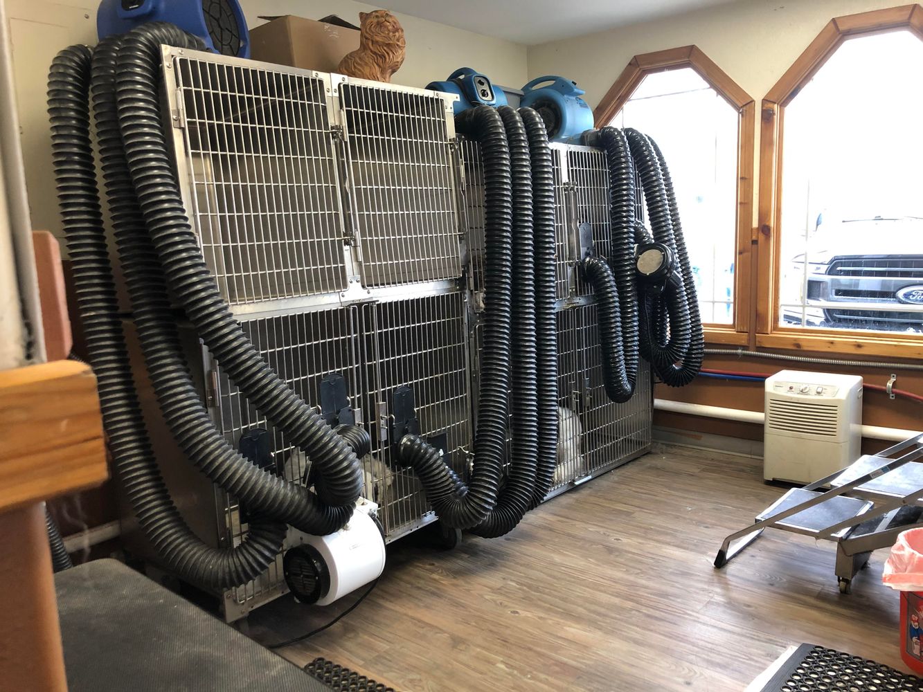 Mission Mountain Pet Service Inc.: 11 7th Ave W, Polson, MT 59860